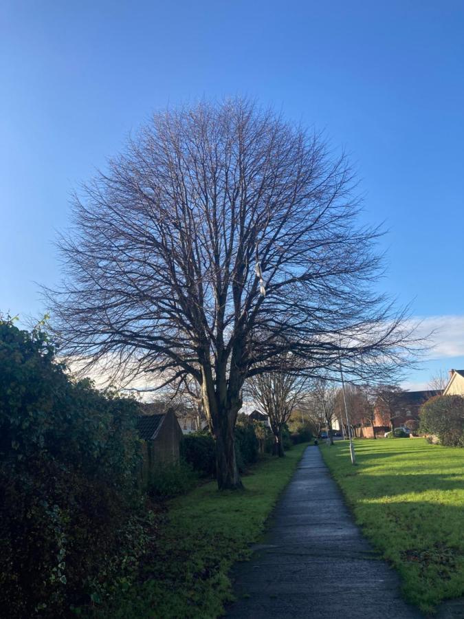 Entire Terraced Two Story Redbrick House With Parking In Secluded Cul De Sac Vila Dublin Exterior foto
